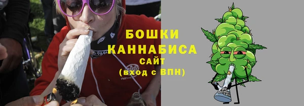 таблы Богородицк