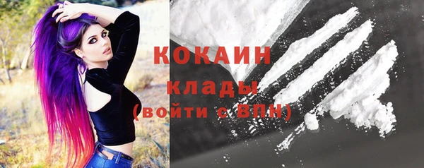 таблы Богородицк